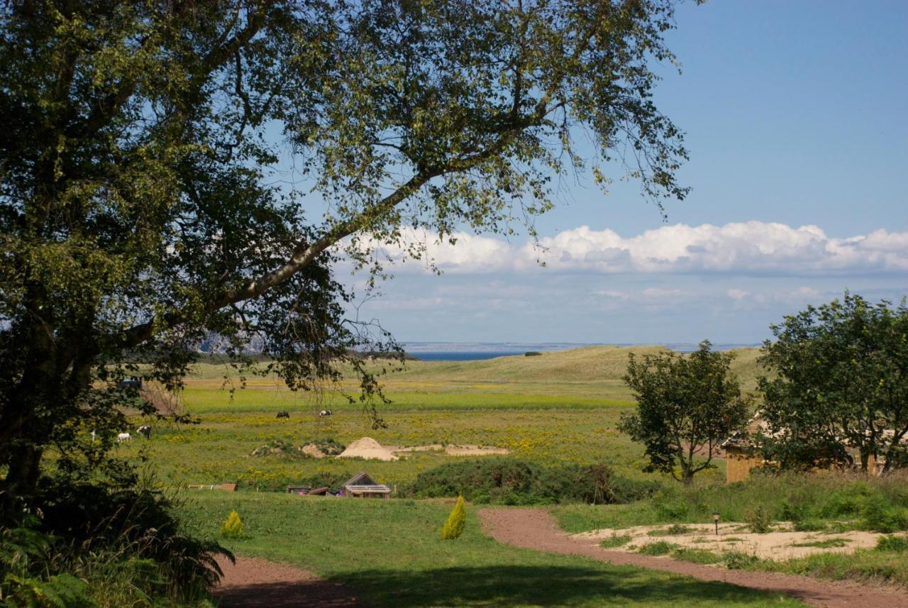 Harvest Moon Treehouse Villa Dunbar Esterno foto